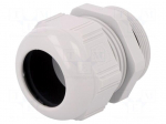 Cable gland | PG42 | IP68 | polyamide | light grey | SKINTOP&reg;