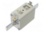 Fuse: fuse | 100A | 500VAC | gG | industrial | NH1