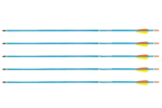 Poe Lang Target 30" D-016-BAluminium arrows 5 pcs Blue