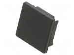 Cap for LED profiles | black | 20pcs | ABS | SMART16