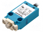 Limit switch | plunger | NO + NC | 10A | max.240VAC | max.250VDC | IP67