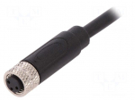 Connector: M8 | female | PIN: 3 | straight | plug | 3A | IP67 | 60V | 1m | TPU