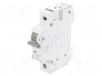 Circuit breaker | 230/400VAC | Inom: 63A | Poles: 1 | Charact: C | 6kA