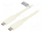 Cable | USB 4.0 | USB C plug,both sides | 0.8m | white | 40Gbps | 100W