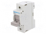 Fuse disconnector | D02 | for DIN rail mounting | 63A | 400V | Poles: 1