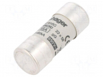 Fuse: fuse | 16A | 690VAC | gG | cylindrical,industrial | 22x58mm