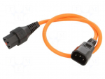 Cable | IEC C13 female,IEC C14 male | 0.5m | with IEC LOCK locking