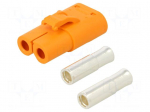 Connector: DC supply | plug | female | LC | 55A | 1kV | PIN: 2 | straight