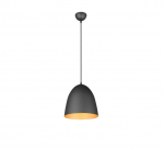 Trio Tilda piekarama lampa 25 cm E27 matt black/gold brushed steel R30661080 4017807522297
