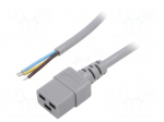 Cable | 3x1.5mm2 | IEC C19 female,wires | PVC | Len: 5m | grey | 16A | 250V