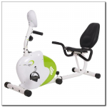 Horizontal magnetic bicycle white and green HMS R9259