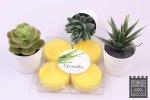 Baltic Candles Maxi Tealights 4pcs with citronella scent / each candle burning time 8h Yellow