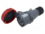 Connector: AC supply 3-phase | plug | female | 16A | 415V | IP&S | IP67