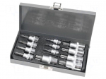 Wrench-set | socket spanner,Torx&reg; | Chrom-vanadium steel | 12pcs.