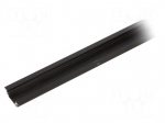 Profiles for LED modules | recessed | black | L: 2m | aluminium