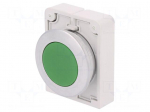 Switch: push-button | Stabl.pos: 1 | 30mm | green | none | IP67 | Pos: 2