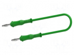 Test lead | 60VDC | 30VAC | 25A | banana plug 4mm,both sides | green