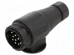 Connector: automotive | for towbars,for trailers | plug | 12VDC