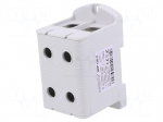 Splice terminal: rail | 290A | 800V | screw terminal | grey | polyamide