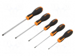 Screwdriver: universal-set | slot | 5pcs.