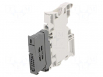 Splice terminal: rail | Entrelec | 600V | for DIN rail mounting