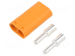 Connector: DC supply | plug | male | power supply | LC | 55A | 1kV | PIN: 2