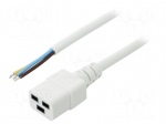Cable | 3x1.5mm2 | IEC C19 female,wires | PVC | Len: 5m | white | 16A
