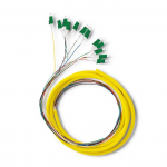 Qoltec 12 x Pigtail fiber optic LC/APC | Singlemode | G657A2 | 2m