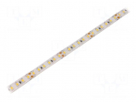 LED tape | white warm | 2835 | 24V | LED/m: 120 | 10mm | IP65 | 24W/m