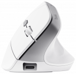 Computer mouse Trust Bayo II Ergonomic White