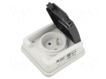 Connector: AC supply | power supply | socket | 2P+PE | 250VAC | 16A