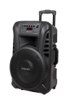 Active Speaker Cabinet (with 2 wireless microphones UHF, SD, Bluetooth, FM, USB) 40 Watt