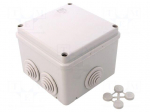 Enclosure: junction box | X: 100mm | Y: 100mm | Z: 80mm | wall mount