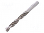Drill bit | for wood | &Oslash;: 10mm | L: 133mm | HSS | Working part len: 87mm