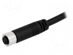 Connector: M8 | 5m | female | PIN: 4 | straight | plug | 3A | IP67 | 30V