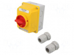 Switch: cam switch | Stabl.pos: 2 | 16A | 0-1 | Mounting: wall mount