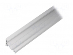 Profiles for LED modules | natural | L: 2m | CORNER14 | aluminium