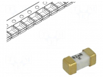 Fuse: fuse | ceramic | 62mA | 125VAC | 125V | 125VDC | ultra rapid | SMD