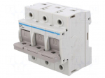 Fuse disconnector | D02 | for DIN rail mounting | 63A | 400V | Poles: 3