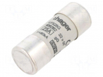 Fuse: fuse | 25A | 690VAC | gG | cylindrical,industrial | 22x58mm
