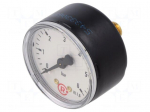 Manometer | 0&divide;6bar | rear connection | Thread: G 1/4" | 50mm | metal