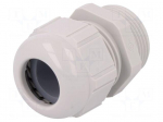 Cable gland | PG36 | IP68 | polyamide | light grey | SKINTOP&reg;