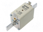 Fuse: fuse | 250A | 500VAC | gG | industrial | NH1