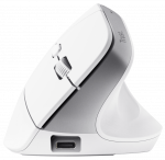 Computer mouse Trust Bayo+ Ergonomic White