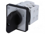 Switch: cam switch | Stabl.pos: 2 | 25A | 0-1 | Poles: 3 | 7.5kW