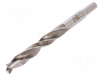 Drill bit | for wood | &Oslash;: 12mm | L: 151mm | HSS | Working part len: 101mm