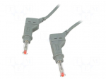 Test lead | 32A | 4mm banana plug-4mm banana plug | Len: 2m | grey