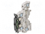Splice terminal: rail | Entrelec | 300V | for DIN rail mounting