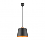 Trio-Lighting Harris  1-pc E27 matt black/gold piekaramā lampa