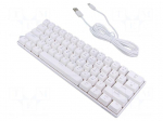 Keyboard | white | USB C | wired,US layout | mechanical keyboard,RGB
